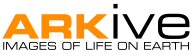 ARKive logo