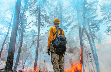 Alex Entrup of Northeast Forest and Fire Management pauses on a hill in western Coventry to assess the prog-ress of a recent “prescribed burn.”  [The Providence Journal / David Delpoio