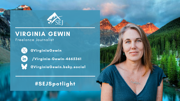 #SEJSpotlight graphic for Virginia Gewin