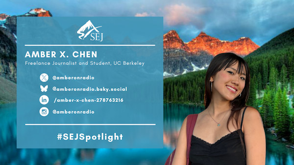 #SEJSpotlight graphic for Amber X. Chen