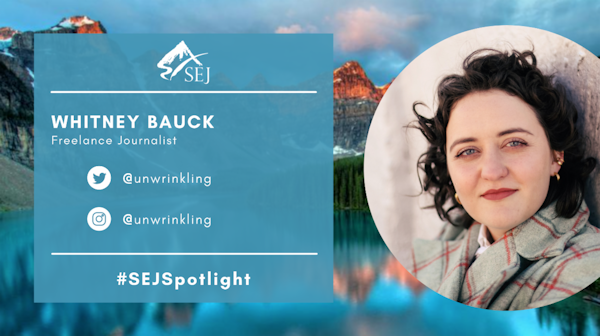 #SEJSpotlight graphic for Whitney Bauck