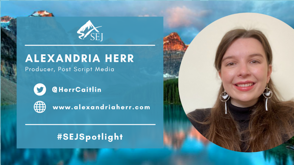 #SEJSpotlight graphic for Alexandria Herr