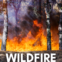 Wildfire topic graphic